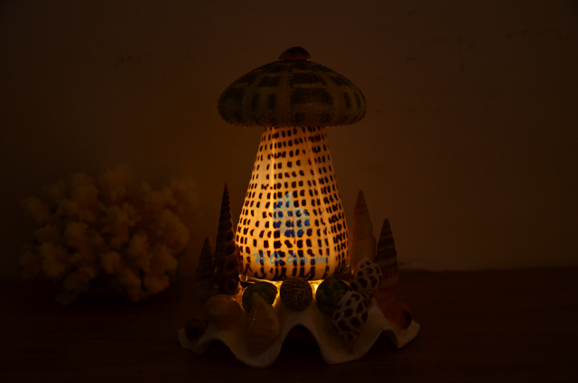 Đèn ngủ vỏ ốc cối & 1 nhum biển ĐN17 - hình chụp tại VoOcBien