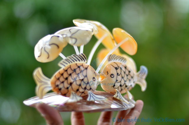 Cá chép đôi làm từ vỏ sò ốc QLN_18 - © bản quyền hình ảnh thuộc VoOcBien.com