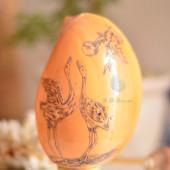 Đèn ngủ vỏ ốc gáo khắc ĐN19