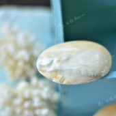 Vỏ trai vàng mài (Polished Clam Shell)