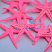 Sao biển nhí màu hồng (Pink Mini Starfish)