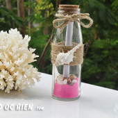 Lọ thủy tinh cát vỏ ốc 15×5 MB155_01 (message bottle)