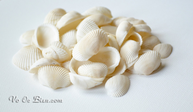 Vỏ sò lông (Bulk Seashell)