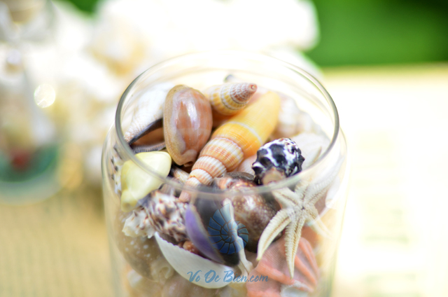Lọ thủy tinh quà tặng vỏ sò ốc đủ loại MixShell_01 - hình chụp tại VoOcBien