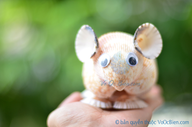 Chuột hamster vỏ sò ốc QLN_17 - © bản quyền hình ảnh thuộc VoOcBien.com