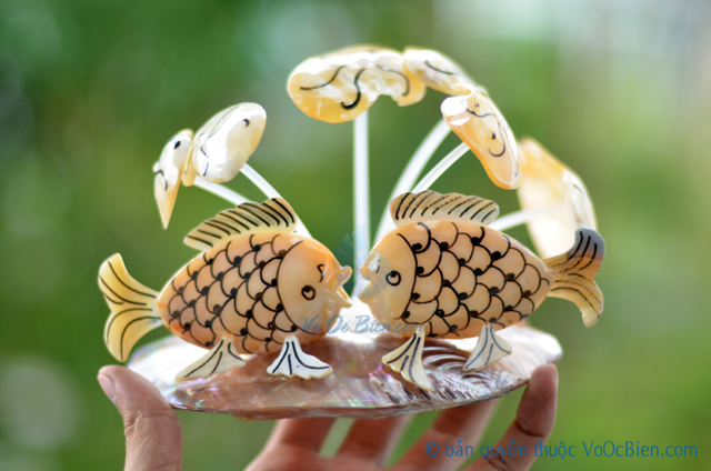 Cá chép đôi làm từ vỏ sò ốc QLN_18 - © bản quyền hình ảnh thuộc VoOcBien.com